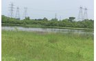 Lake County, Indiana farmland - LAND AUCTION - 147+/- ACRES OFFERED IN 3 TRACTS IN LAKE COUNTY, INDIANA